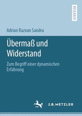 Sandru | Übermaß und Widerstand | Buch | 978-3-662-62567-5 | sack.de