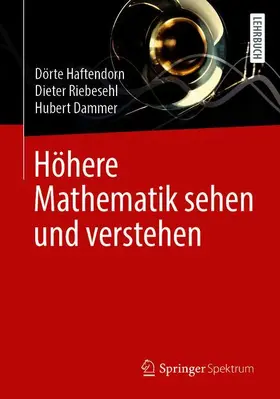 Haftendorn / Riebesehl / Dammer | Höhere Mathematik sehen und verstehen | Buch | 978-3-662-62576-7 | www.sack.de