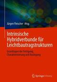 Fleischer |  Intrinsische Hybridverbunde für Leichtbautragstrukturen | Buch |  Sack Fachmedien