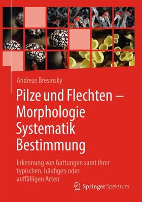 Bresinsky | Pilze und Flechten ¿ Morphologie, Systematik, Bestimmung | Buch | 978-3-662-63110-2 | sack.de