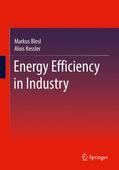 Kessler / Blesl |  Energy Efficiency in Industry | Buch |  Sack Fachmedien