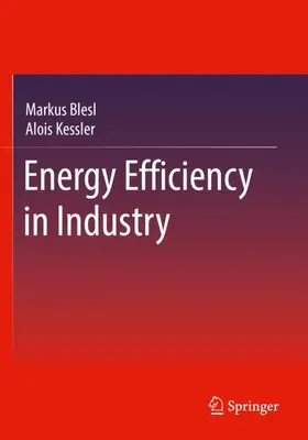 Kessler / Blesl |  Energy Efficiency in Industry | Buch |  Sack Fachmedien