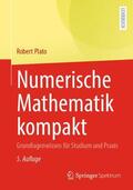 Plato |  Numerische Mathematik kompakt | Buch |  Sack Fachmedien