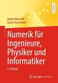Tischendorf / Bärwolff |  Numerik für Ingenieure, Physiker und Informatiker | Buch |  Sack Fachmedien