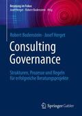 Herget / Bodenstein |  Consulting Governance | Buch |  Sack Fachmedien