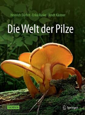 Dörfelt / Ruske / Kästner | Die Welt der Pilze | Buch | 978-3-662-65436-1 | sack.de