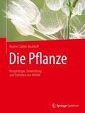 Claßen-Bockhoff |  Die Pflanze | Buch |  Sack Fachmedien