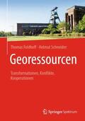 Schneider / Feldhoff |  Georessourcen | Buch |  Sack Fachmedien