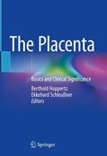 Schleußner / Huppertz |  The Placenta | Buch |  Sack Fachmedien