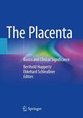 Schleußner / Huppertz |  The Placenta | Buch |  Sack Fachmedien