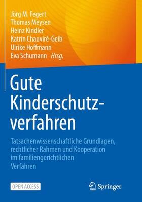 Fegert / Meysen / Schumann |  Gute Kinderschutzverfahren | Buch |  Sack Fachmedien
