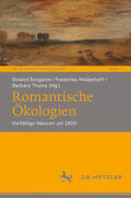 Borgards / Middelhoff / Thums |  Romantische Ökologien | eBook | Sack Fachmedien