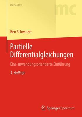Schweizer | Partielle Differentialgleichungen | Buch | 978-3-662-67187-0 | sack.de