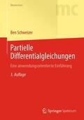 Schweizer |  Partielle Differentialgleichungen | Buch |  Sack Fachmedien