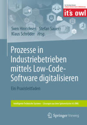 Hinrichsen / Sauer / Schröder | Prozesse in Industriebetrieben mittels Low-Code-Software digitalisieren | E-Book | sack.de
