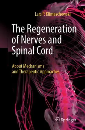 Klimaschewski | The Regeneration of Nerves and Spinal Cord | Buch | 978-3-662-68052-0 | sack.de