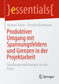 Zirkler / Bachmann |  Produktiver Umgang mit Spannungsfeldern und Grenzen in der Projektarbeit | eBook | Sack Fachmedien