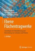 Altenbach / Naumenko |  Ebene Flächentragwerke | Buch |  Sack Fachmedien