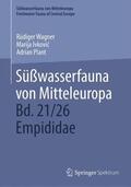 Wagner / Ivkovic / Ivkovic |  Süßwasserfauna von Mitteleuropa, Bd. 21/26 Empididae | Buch |  Sack Fachmedien