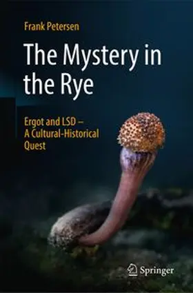 Petersen |  The Mystery in the Rye | Buch |  Sack Fachmedien