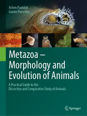 Paululat / Purschke | Metazoa – Morphology and Evolution of Animals | E-Book | www.sack.de