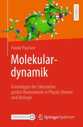Paulsen |  Molekulardynamik | Buch |  Sack Fachmedien