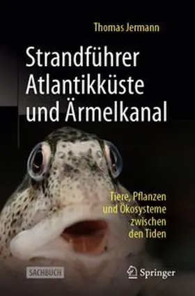 Jermann |  Strandführer Atlantikküste und Ärmelkanal | eBook | Sack Fachmedien