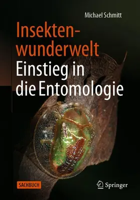 Schmitt | Insektenwunderwelt - Einstieg in die Entomologie | Buch | 978-3-662-73619-7 | www.sack.de