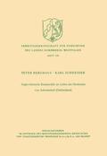 Berghaus |  Berghaus, P: Anglo-friesische Runensolidi im Lichte des Neuf | Buch |  Sack Fachmedien