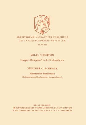 Burton |  Burton, M: Energie-¿Dissipation¿ in der Strahlenchemie. Mehr | Buch |  Sack Fachmedien