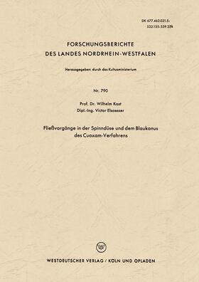 Kast | Kast, W: Fließvorgänge in der Spinndüse und dem Blaukonus de | Buch | 978-3-663-03651-7 | sack.de