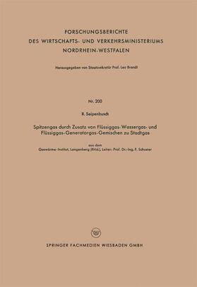 Seipenbusch |  Seipenbusch, R: Spitzengas durch Zusatz von Flüssiggas- Wass | Buch |  Sack Fachmedien