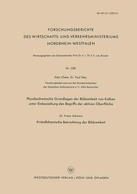 Ney | Ney, P: Physikochemische Grundlagen der Bildsamkeit von Kalk | Buch | 978-3-663-04097-2 | sack.de
