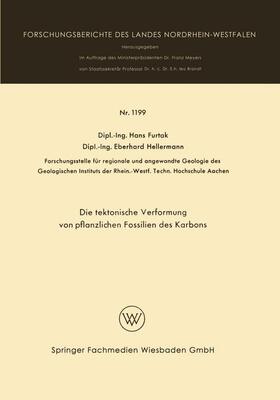 Furtak | Furtak, H: Die taktonische Verformung von pflanzlichen Fossi | Buch | 978-3-663-06133-5 | sack.de