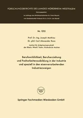 Mathieu |  Berufswirklichkeit, Berufserziehung und Facharbeiterausbildung in der Industrie und speziell in den eisenverarbeitenden Industriezweigen | Buch |  Sack Fachmedien