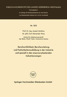 Mathieu | Mathieu, J: Berufswirklichkeit, Berufserziehung und Facharbe | Buch | 978-3-663-06219-6 | sack.de