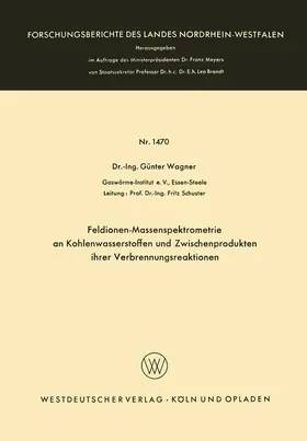 Wagner |  Feldionen-Massenspektrometrie an Kohlenwasserstoffen und Zwischenprodukten ihrer Verbrennungsreaktionen | Buch |  Sack Fachmedien