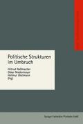Nassmacher |  Politische Strukturen im Umbruch | Buch |  Sack Fachmedien