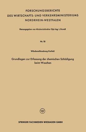 Brandt | Grundlagen zur Erfassung der chemischen Schädigung beim Wasc | Buch | 978-3-663-12822-9 | sack.de