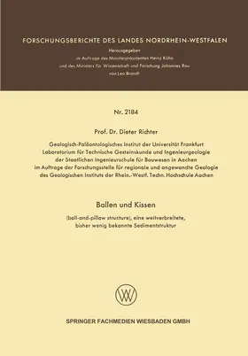 Richter | Ballen und Kissen | Buch | 978-3-663-20055-0 | www.sack.de