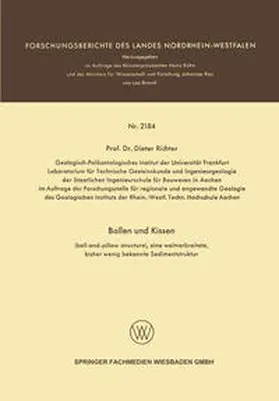 Richter |  Ballen und Kissen | eBook | Sack Fachmedien