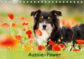Mayer | Aussie-Power (Tischkalender 2017 DIN A5 quer) | Sonstiges | 978-3-665-42644-6 | www.sack.de