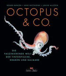 Hanlon / Allcock / Vecchione |  Octopus & Co. | Buch |  Sack Fachmedien