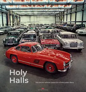 Vieweg |  Holy Halls | Buch |  Sack Fachmedien