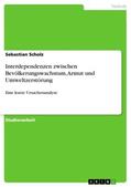 Scholz |  Interdependenzen zwischen Bevölkerungswachstum, Armut und Umweltzerstörung | Buch |  Sack Fachmedien