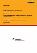 Wenzel |  Transcriptome analysis of TRPV1-positive rat dorsal root ganglion neurons | eBook | Sack Fachmedien