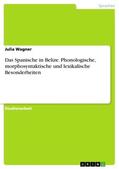Wagner |  Das Spanische in Belize. Phonologische, morphosyntaktische und lexikalische Besonderheiten | Buch |  Sack Fachmedien