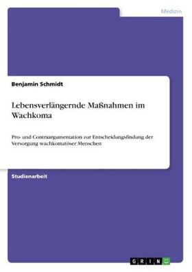 Schmidt | Lebensverlängernde Maßnahmen im Wachkoma | Buch | 978-3-668-27915-5 | sack.de