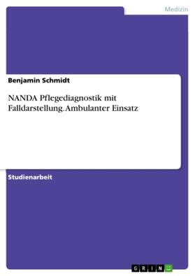 Schmidt |  NANDA Pflegediagnostik mit Falldarstellung. Ambulanter Einsatz | Buch |  Sack Fachmedien