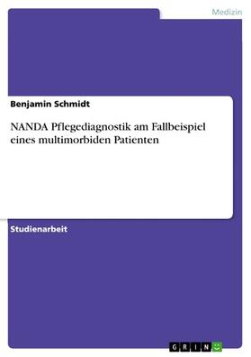 Schmidt | NANDA Pflegediagnostik am Fallbeispiel eines multimorbiden Patienten | E-Book | sack.de